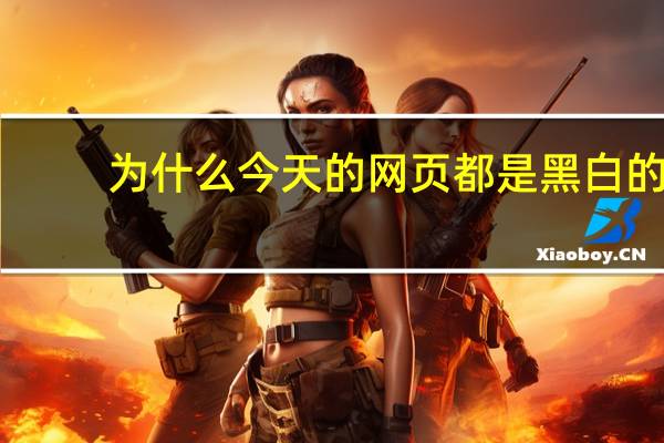 为什么今天的网页都是黑白的（为什么今天的网页都是黑白的）