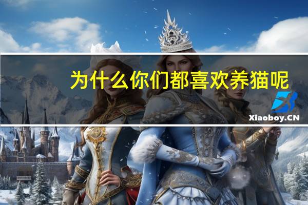 为什么你们都喜欢养猫呢