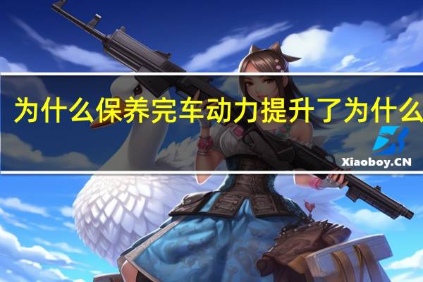 为什么保养完车动力提升了 为什么保养