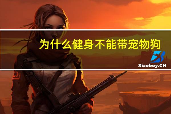 为什么健身不能带宠物狗