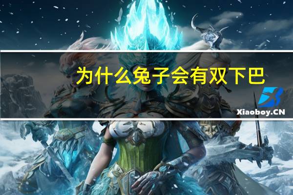 为什么兔子会有双下巴(兔子长了双下巴是因为什么)