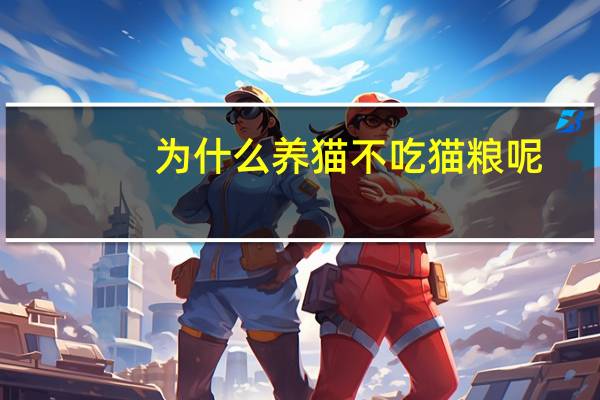 为什么养猫不吃猫粮呢