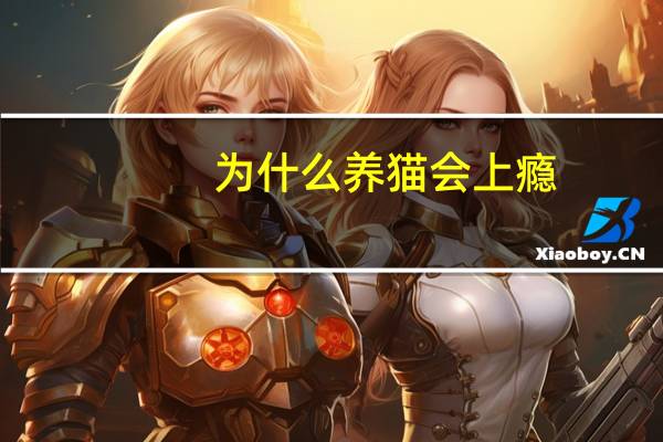 为什么养猫会上瘾