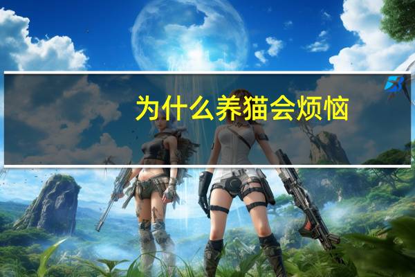 为什么养猫会烦恼