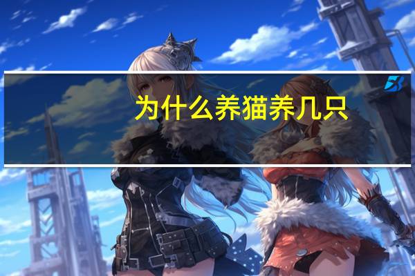 为什么养猫养几只