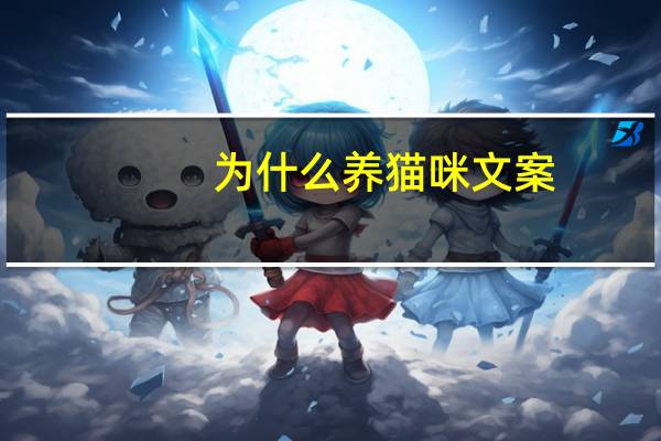 为什么养猫咪文案
