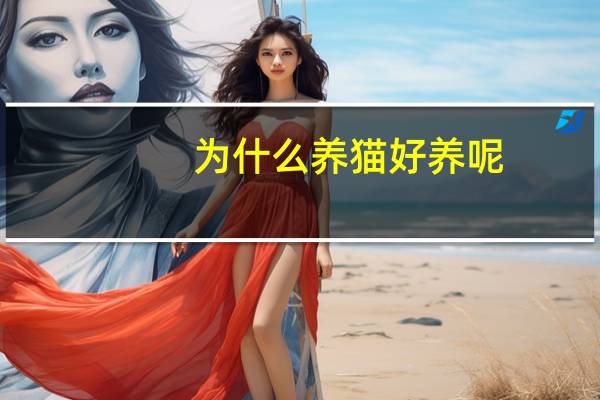 为什么养猫好养呢