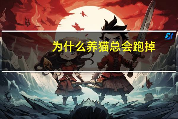 为什么养猫总会跑掉