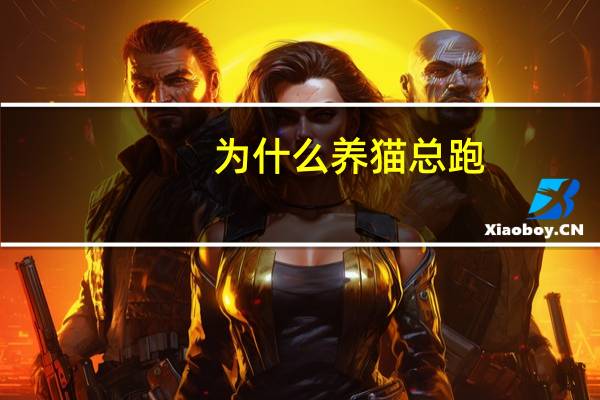 为什么养猫总跑