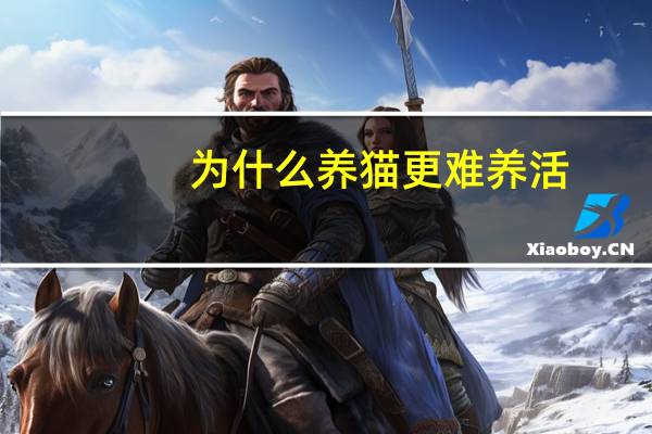 为什么养猫更难养活