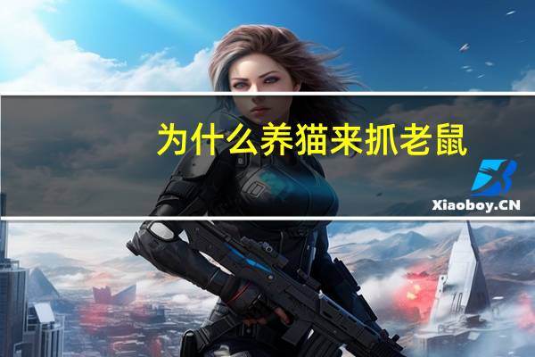 为什么养猫来抓老鼠