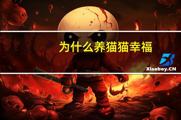 为什么养猫猫幸福