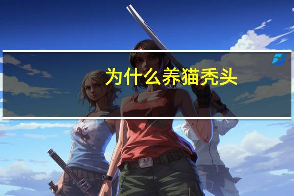 为什么养猫秃头