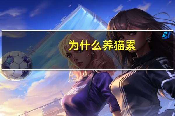 为什么养猫累