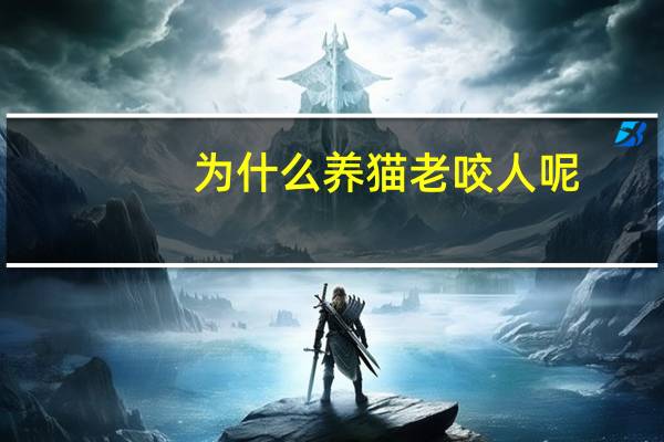 为什么养猫老咬人呢