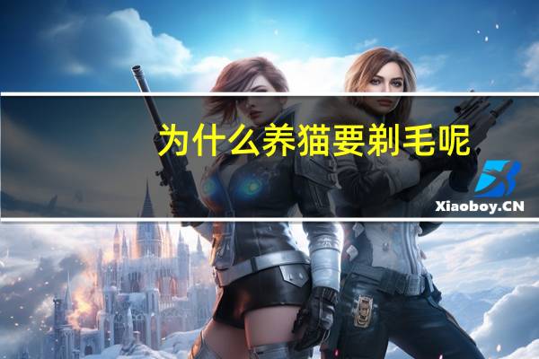 为什么养猫要剃毛呢