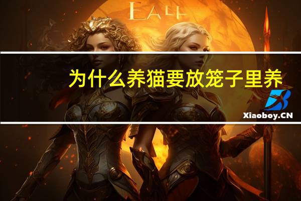 为什么养猫要放笼子里养