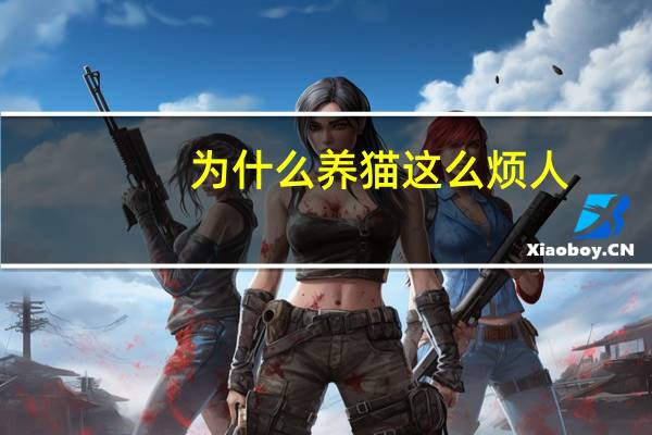 为什么养猫这么烦人