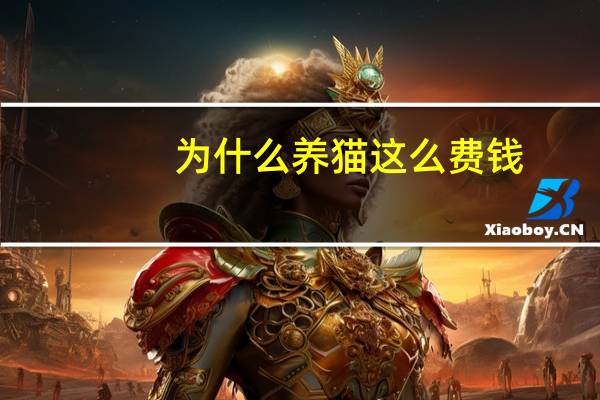 为什么养猫这么费钱