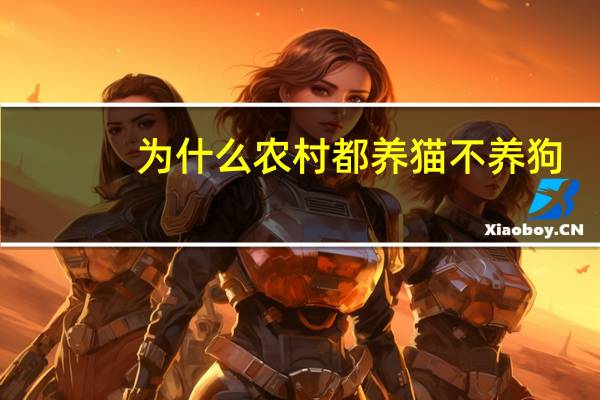 为什么农村都养猫不养狗