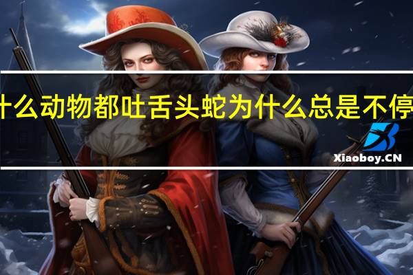 为什么动物都吐舌头 蛇为什么总是不停的吐舌头