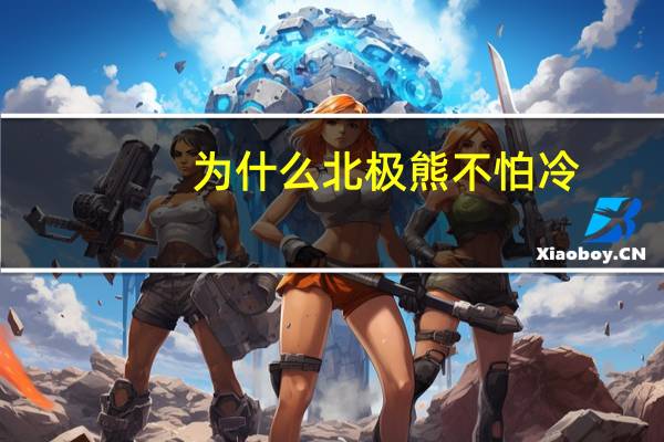 为什么北极熊不怕冷