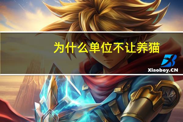 为什么单位不让养猫