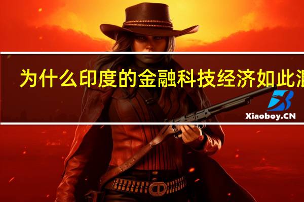 为什么印度的金融科技经济如此混乱