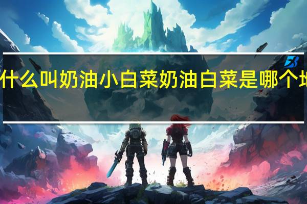 为什么叫奶油小白菜 奶油白菜是哪个地方的菜