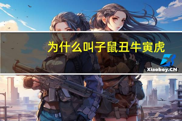 为什么叫子鼠丑牛寅虎