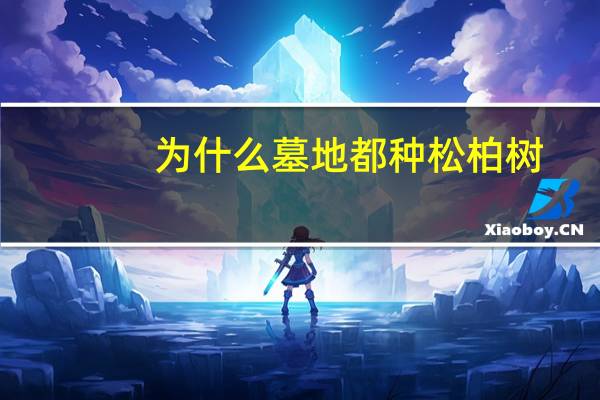 为什么墓地都种松柏树