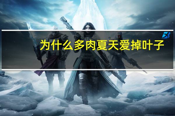 为什么多肉夏天爱掉叶子：除了可能患黑腐病还可能是休眠期水大了