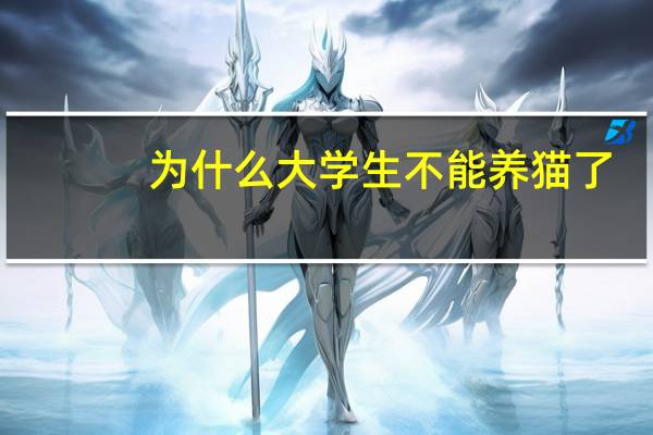 为什么大学生不能养猫了