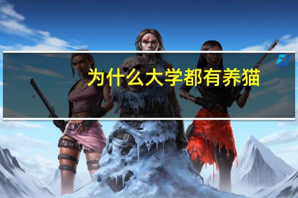 为什么大学都有养猫
