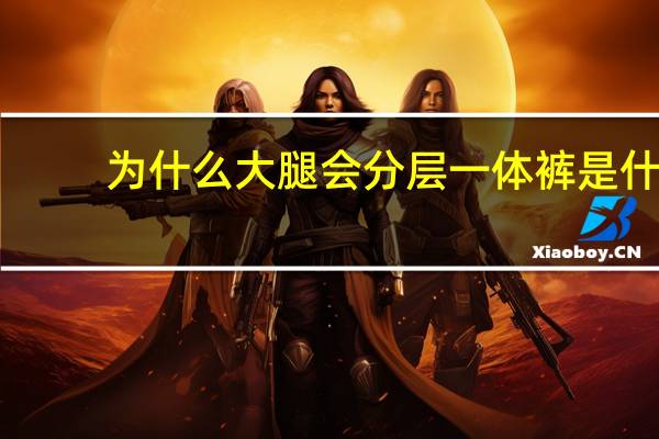 为什么大腿会分层 一体裤是什么意思