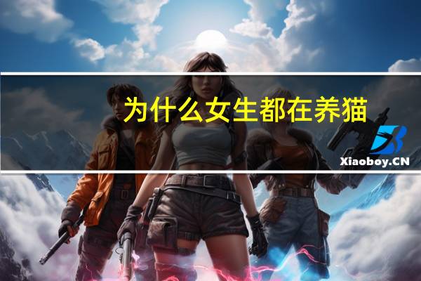 为什么女生都在养猫
