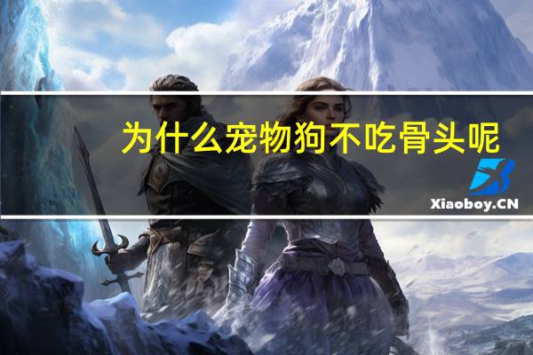 为什么宠物狗不吃骨头呢