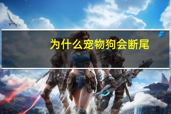 为什么宠物狗会断尾