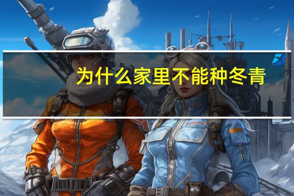 为什么家里不能种冬青