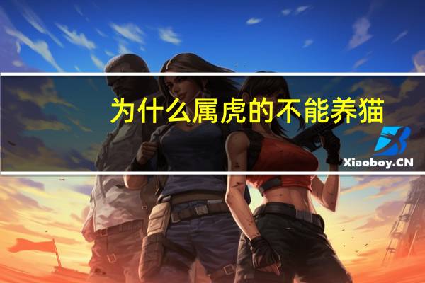 为什么属虎的不能养猫