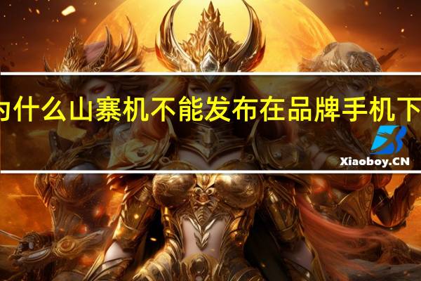 为什么山寨机不能发布在品牌手机下载软件（为什么山寨机不能发布在品牌手机下）