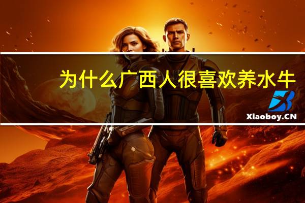 为什么广西人很喜欢养水牛（为什么广西人很好辨认）