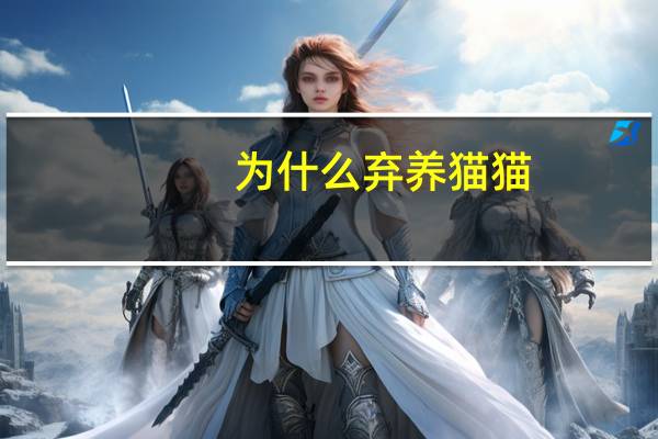 为什么弃养猫猫