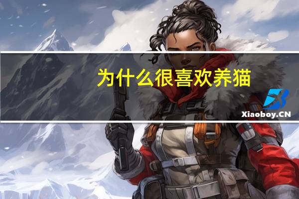 为什么很喜欢养猫