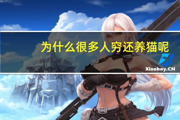 为什么很多人穷还养猫呢