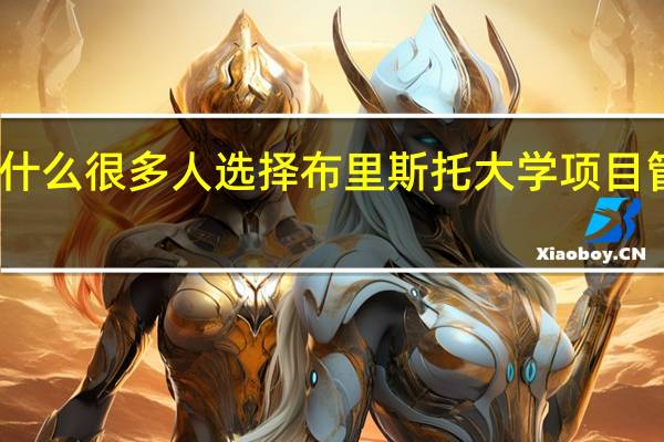 为什么很多人选择布里斯托大学项目管理专业