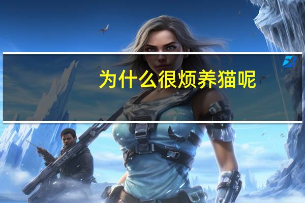 为什么很烦养猫呢