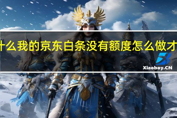 为什么我的京东白条没有额度 怎么做才会有额度
