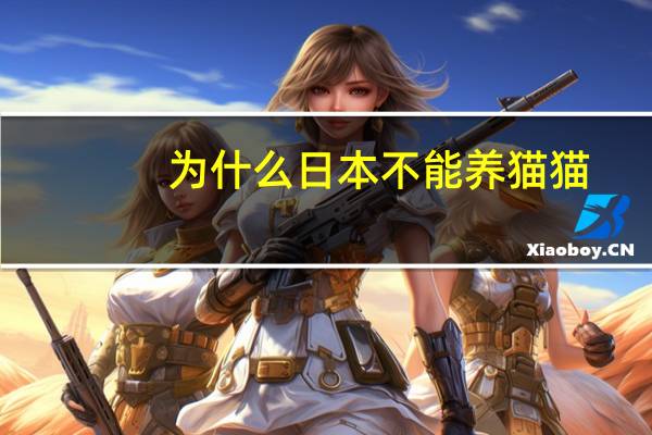 为什么日本不能养猫猫
