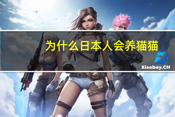 为什么日本人会养猫猫